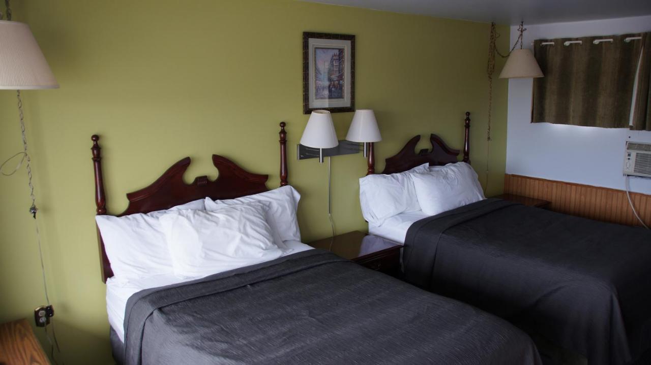 Robyn'S Motel Peterborough Dış mekan fotoğraf