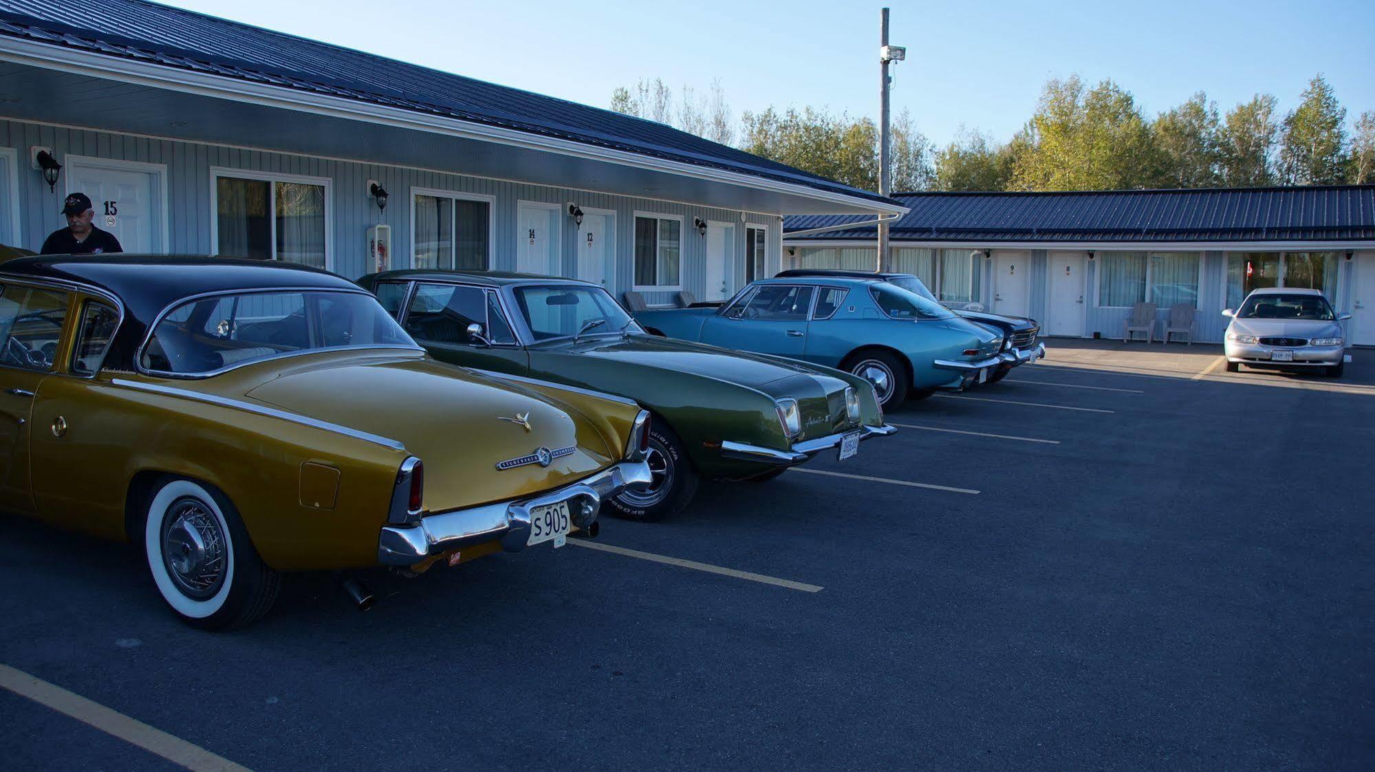Robyn'S Motel Peterborough Dış mekan fotoğraf